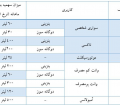 بنزین گران شد
