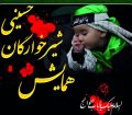همایش شیرخوارگان حسینی در پارس آباد برگزار می شود