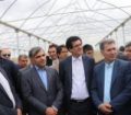 بزرگترین شهرک گلخانهای کشور در شهرستان پارسآباد راهاندازی میشود