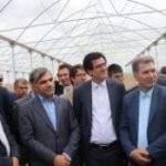 بزرگترین شهرک گلخانه‌ای کشور در شهرستان پارس‌آباد راه‌اندازی می‌شود