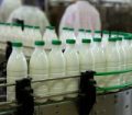 تولید روزانه بیش از ۲۰۰ تن شیر در شهرستان پارس‌آباد