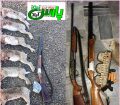 ۶ شکارچی غیر مجاز در شهرستان پارس آباد دستگیر شدند