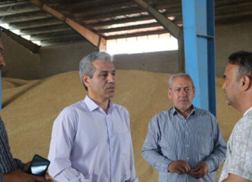 خروج بدون مجوز گندم از استان اردبیل ممنوع شد / آمادگی کامل مراکز خرید تضمینی