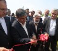 آغاز بهرهبرداری از پروژه تولید نهال صنوبر صنعتی در مغان