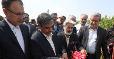 آغاز بهرهبرداری از پروژه تولید نهال صنوبر صنعتی در مغان